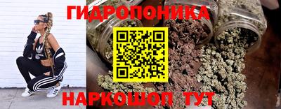 ГАЛЛЮЦИНОГЕННЫЕ ГРИБЫ Ирбит